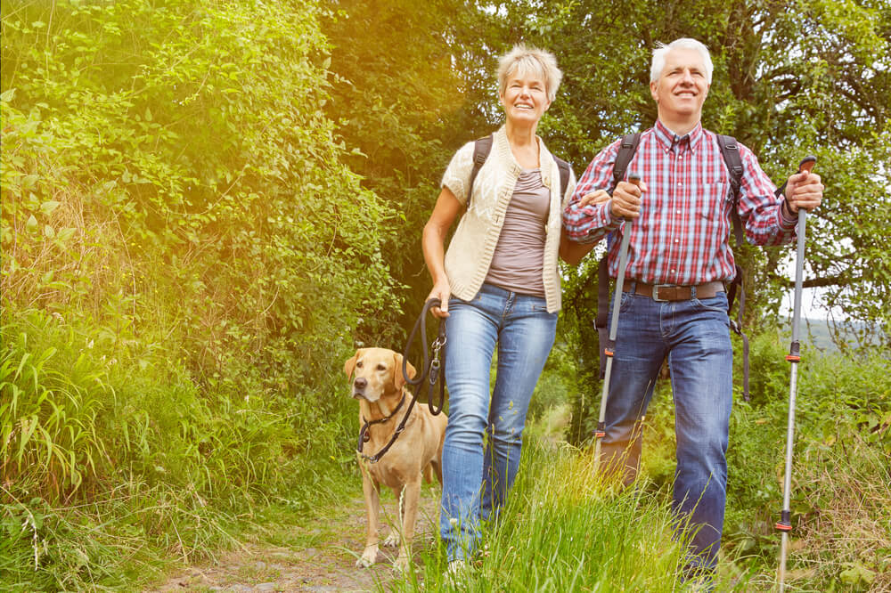 The Best Ways to Safely Handle Ticks When Hiking with Your Pet