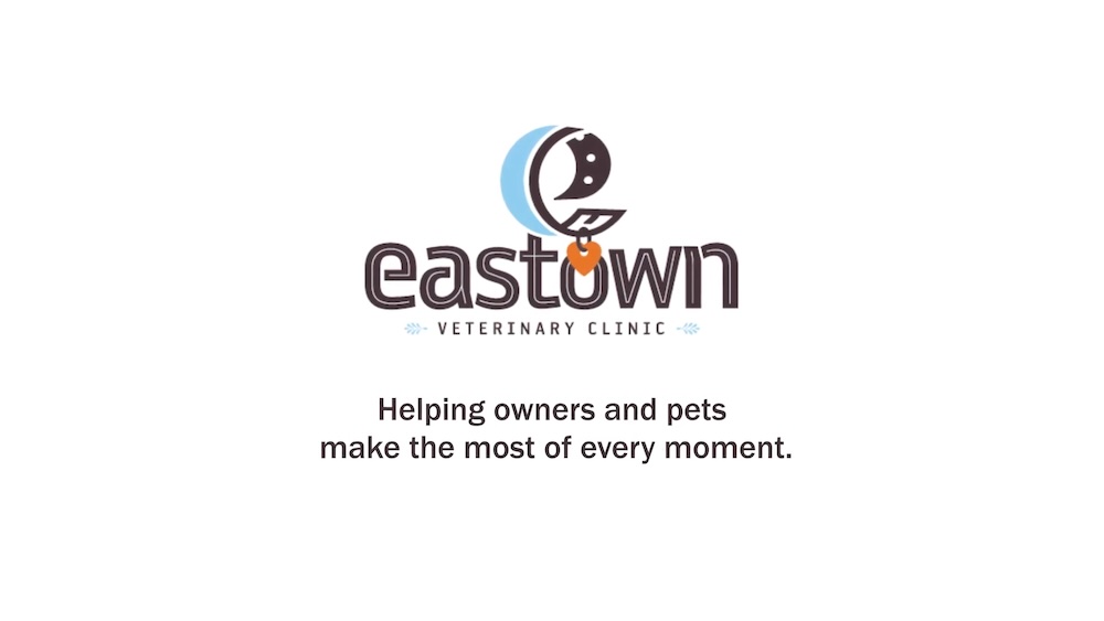 Grand Rapids Eastown