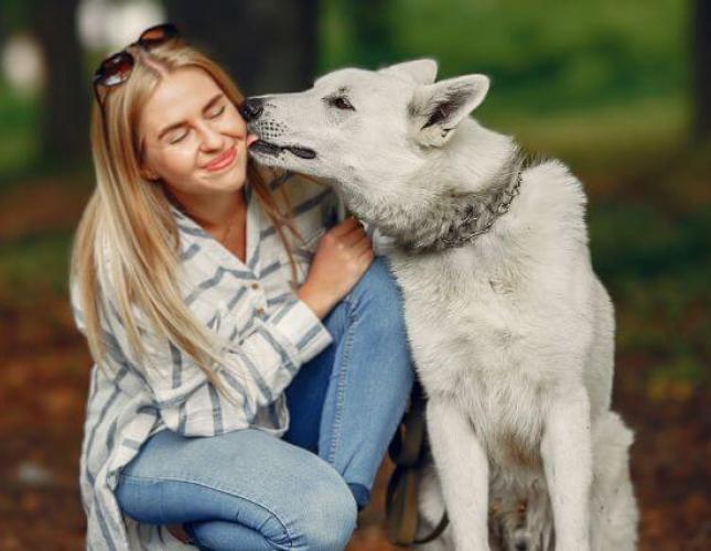 Love Languages of the Animal Kingdom: How Our Furry Friends Show Affection